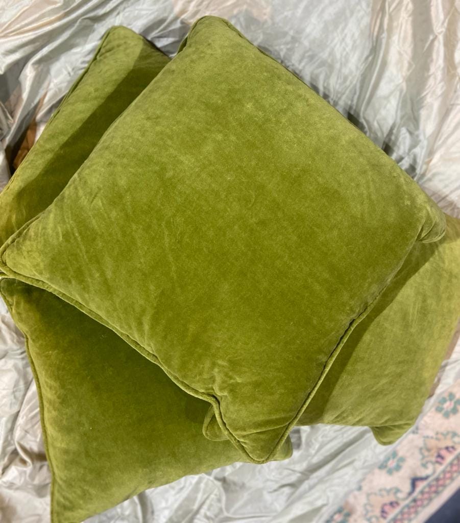 Lovely Green Velvet Cushions