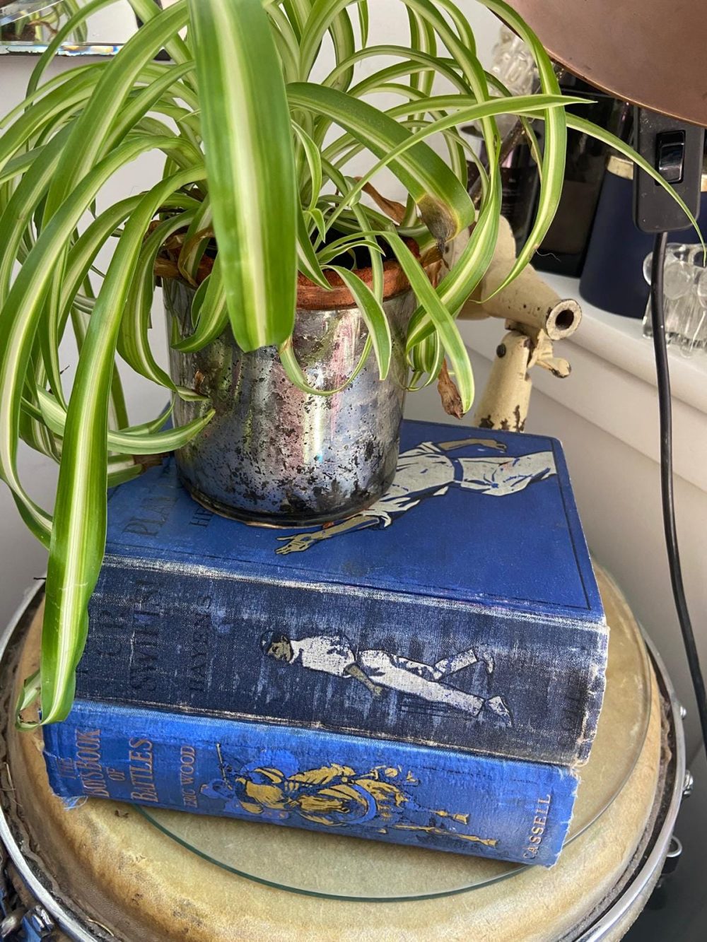 Two Blue Vintage Books in Hard-Back - For display on Coffee Table/Shelf