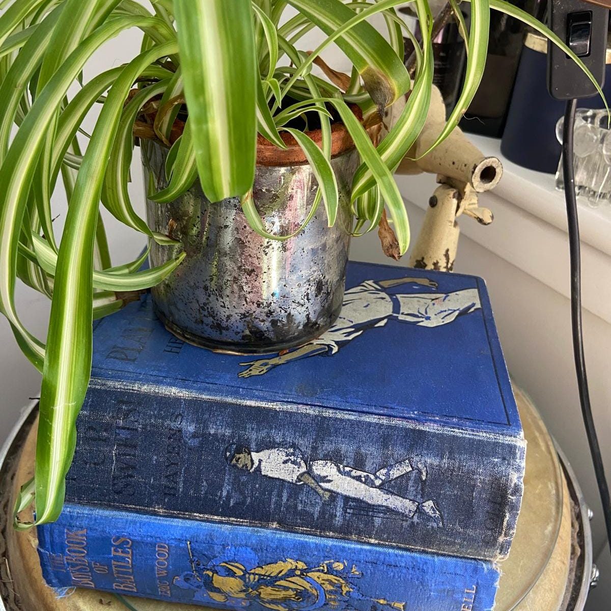 Two Blue Vintage Books in Hard-Back - For display on Coffee Table/Shelf