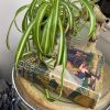 Vintage Hard-Back Book - Ideal to style a coffee table with Plant or Candle