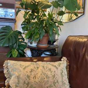 Vintage Brocade Cushion with Fringing