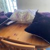 5 Beautiful Zoffany Fabric Cushions in 3 Variations - £45 per cushion - Image 4